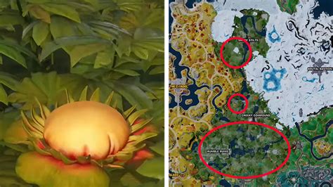 Classy Courts is located in the northeastern section of the chapter 5, season 1 map, which gives you a lot of choices to the south for rotating. . Fortnite hop flowers without landing
